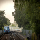 MTR Pendeltåg i skog