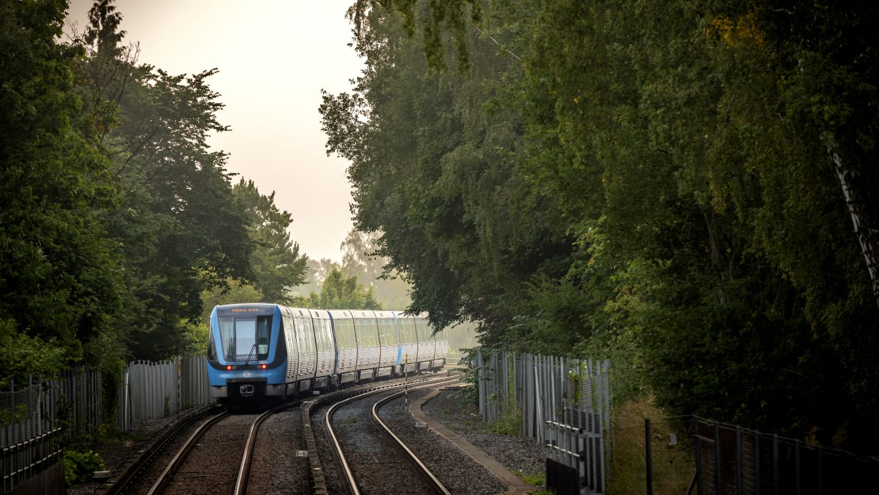 MTR pendel i grönska.jpg